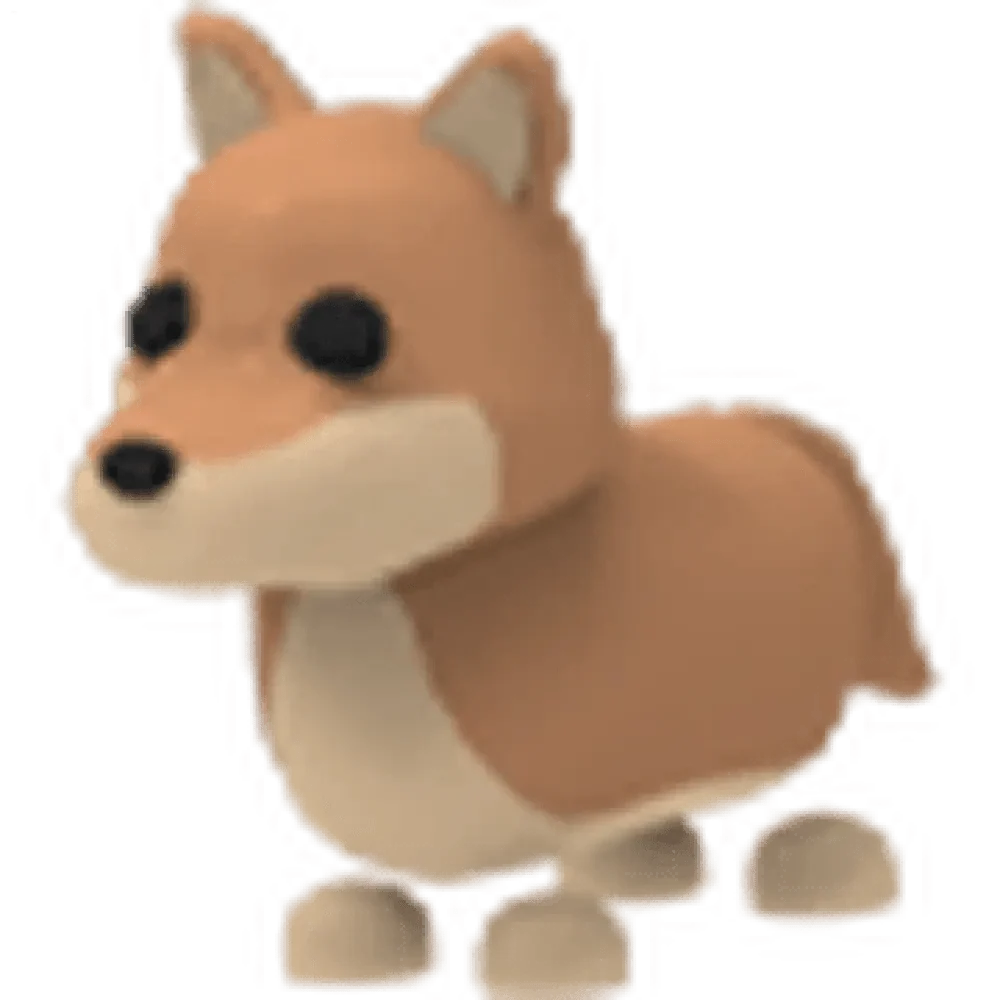 Dingo