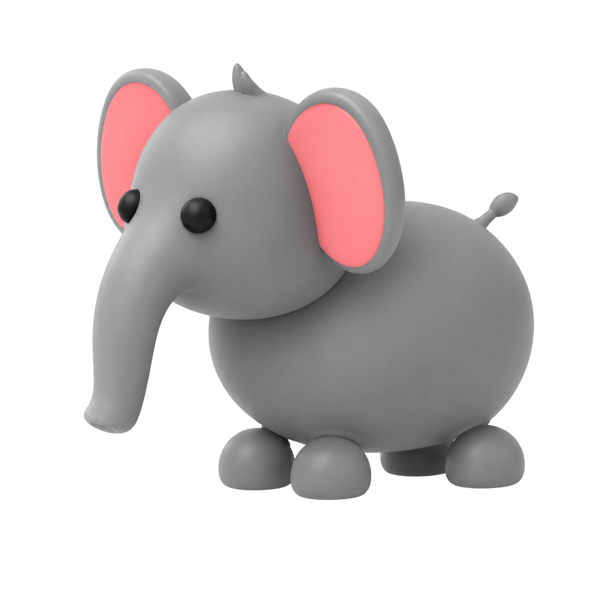 NFR Elephant