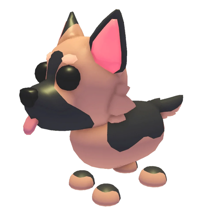 MFR German Shepherd