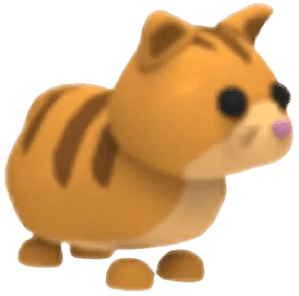 Ginger Cat