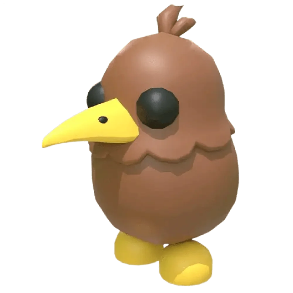 Kiwi