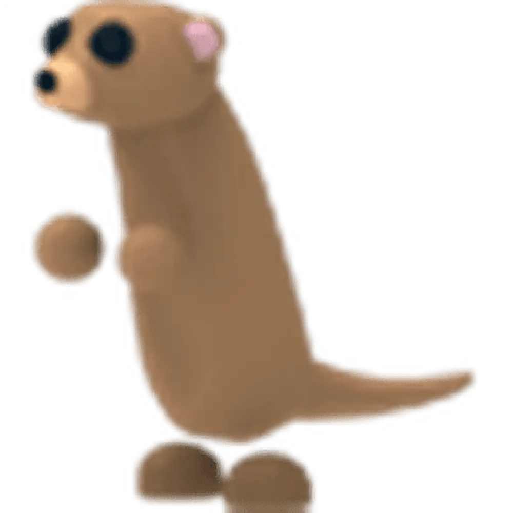 Meerkat