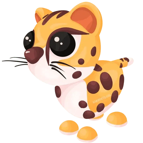 NFR Cheetah