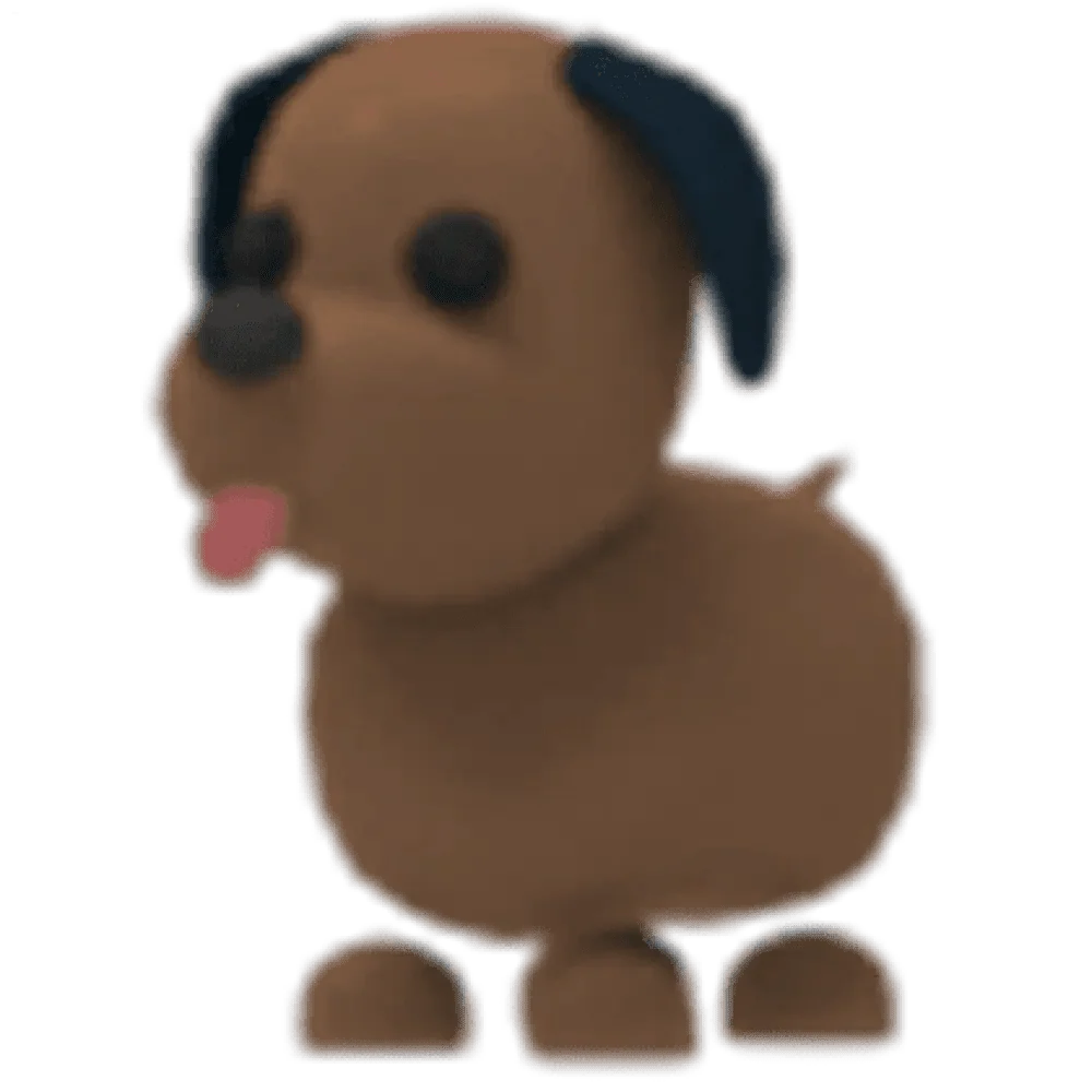 MFR Chocolate Labrador