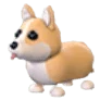MFR Corgi