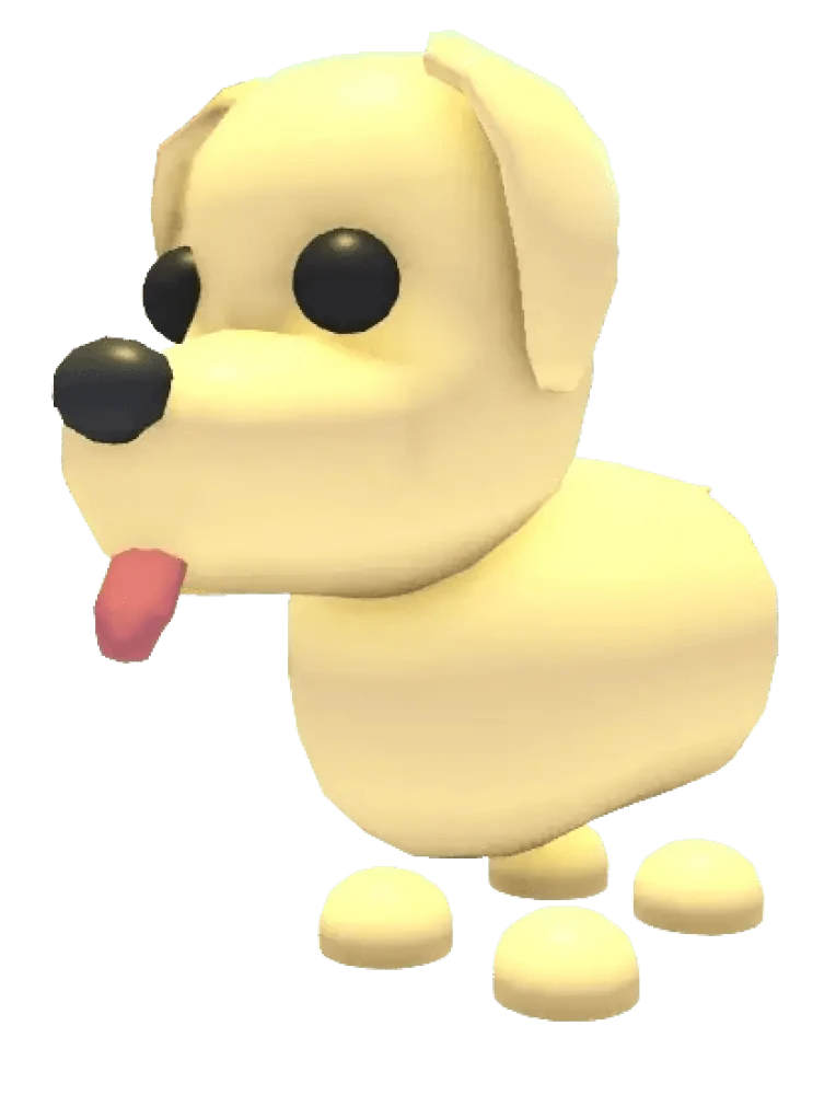 MFR Dog