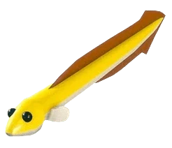MFR Eel