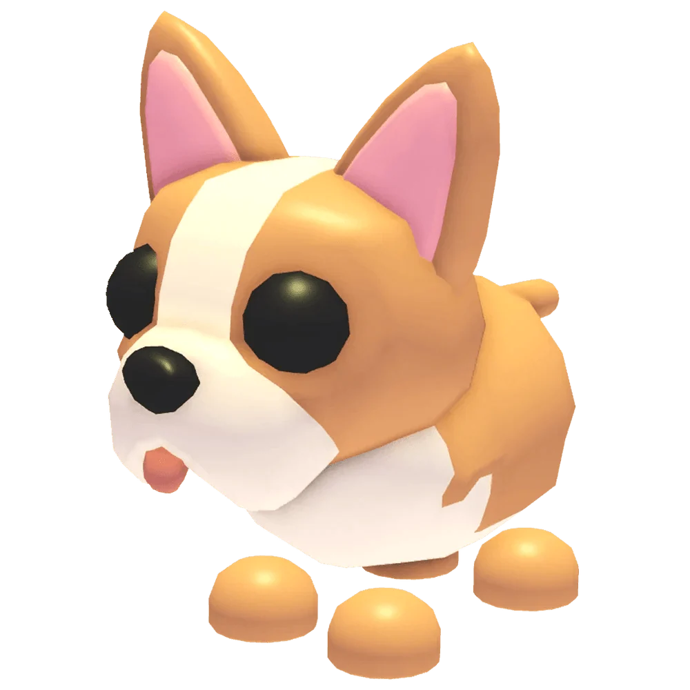 MFR French Bulldog
