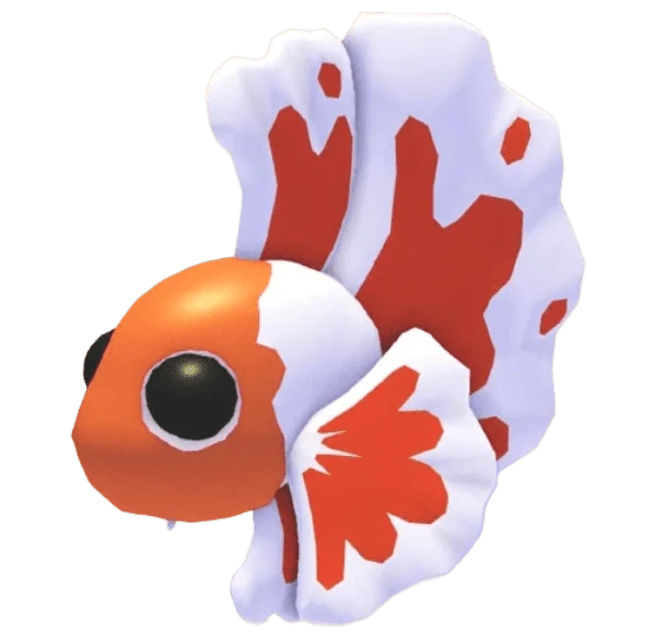 MFR Orange Betta Fish