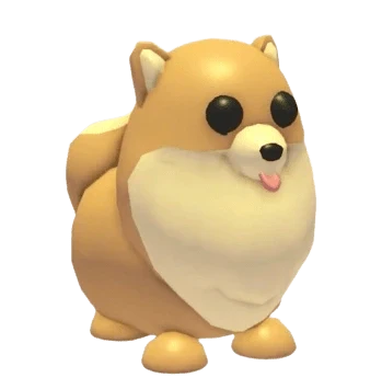 Pomeranian