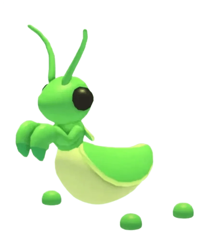 MFR Praying Mantis