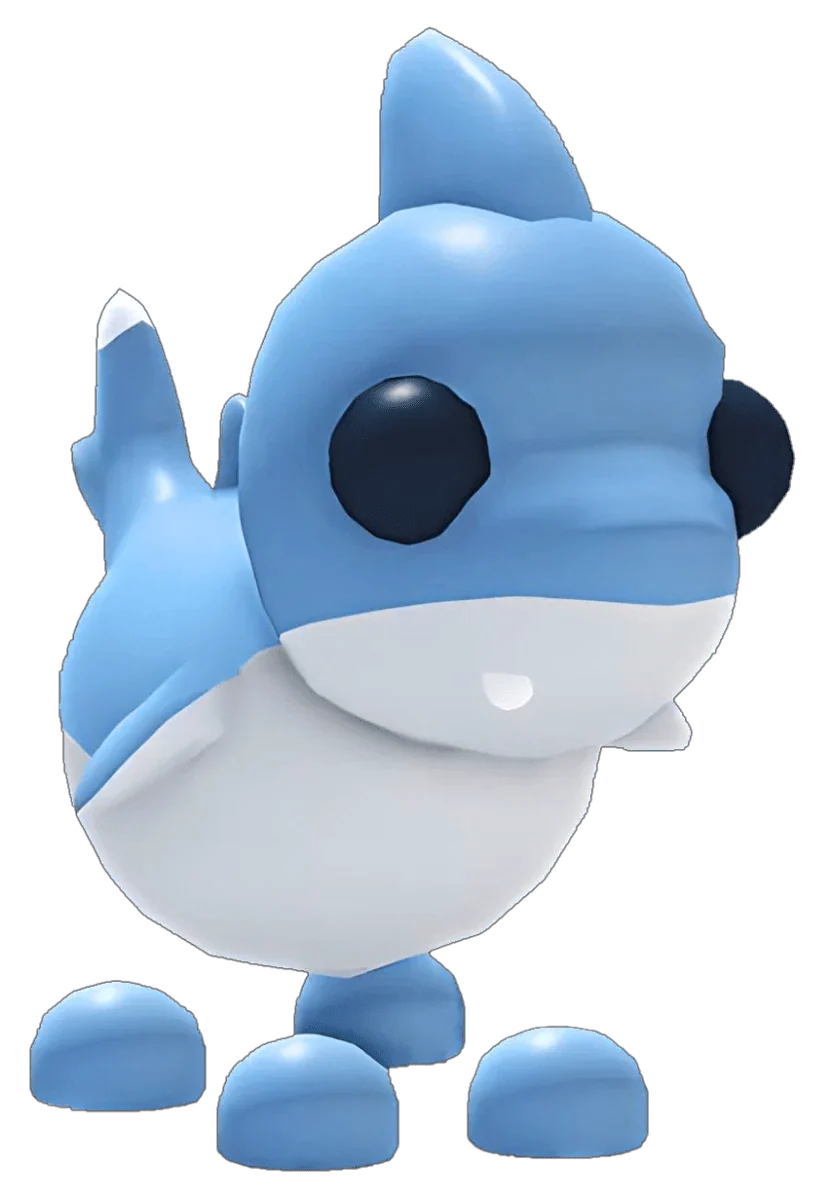 MFR Shark Puppy