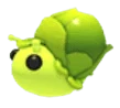 MFR Sprout Snail