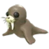 Walrus