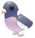 MFR Wood Pigeon