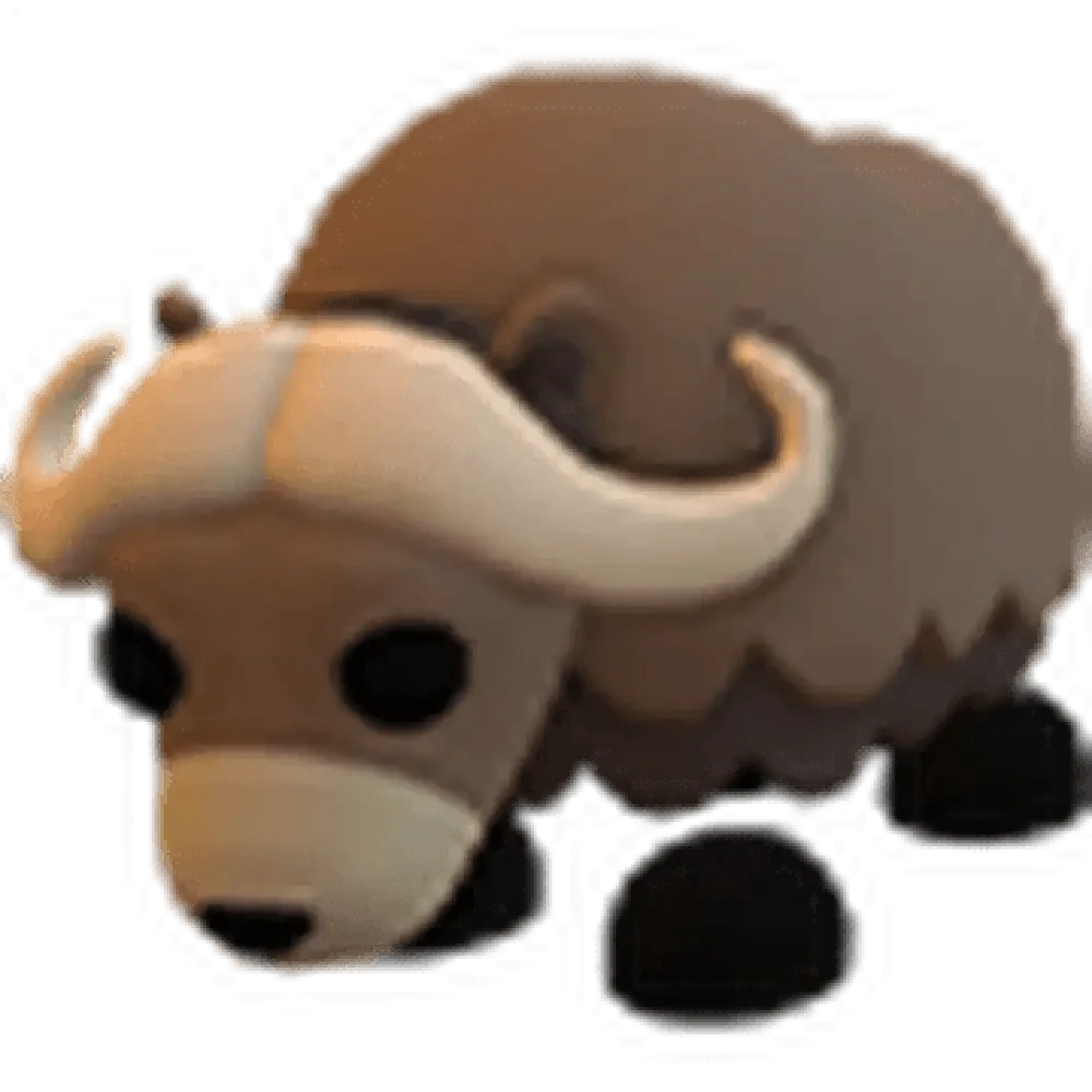 Musk Ox
