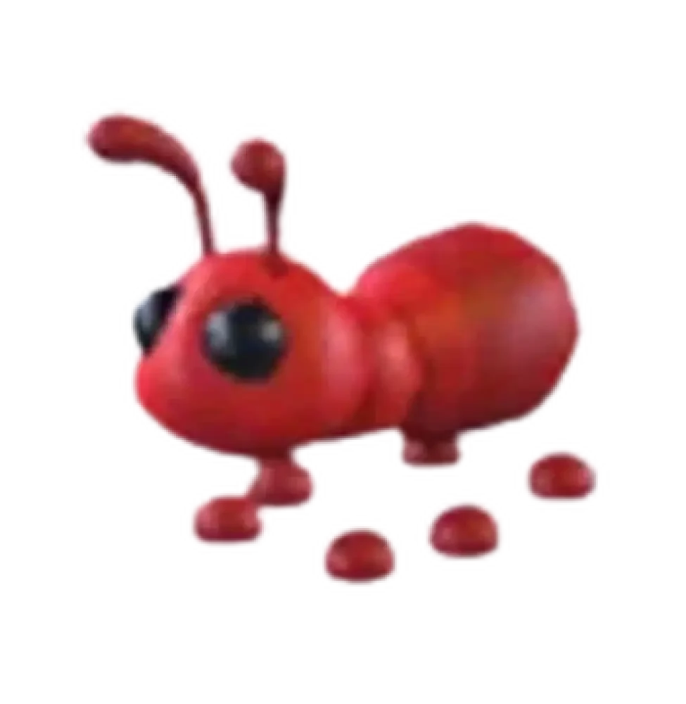 NFR Ant