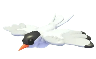 NFR Arctic Tern