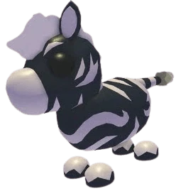 NFR Ash Zebra