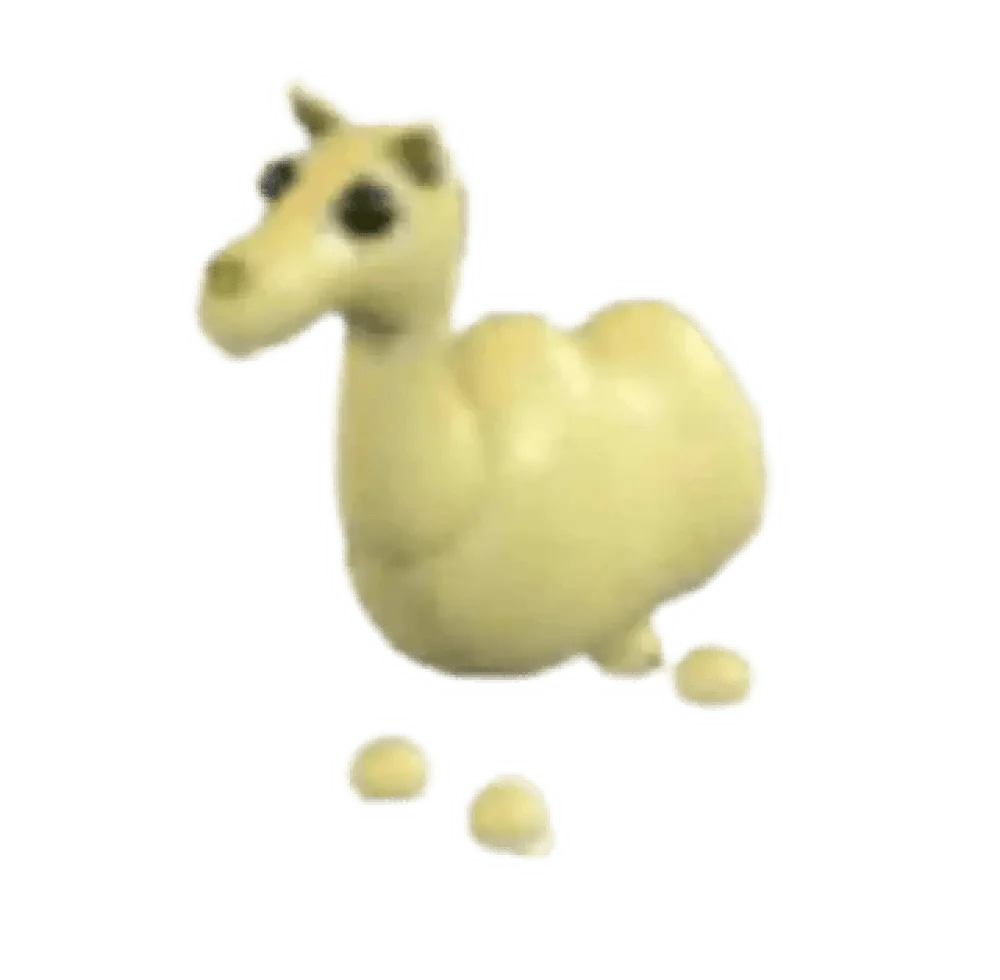 NFR Camel