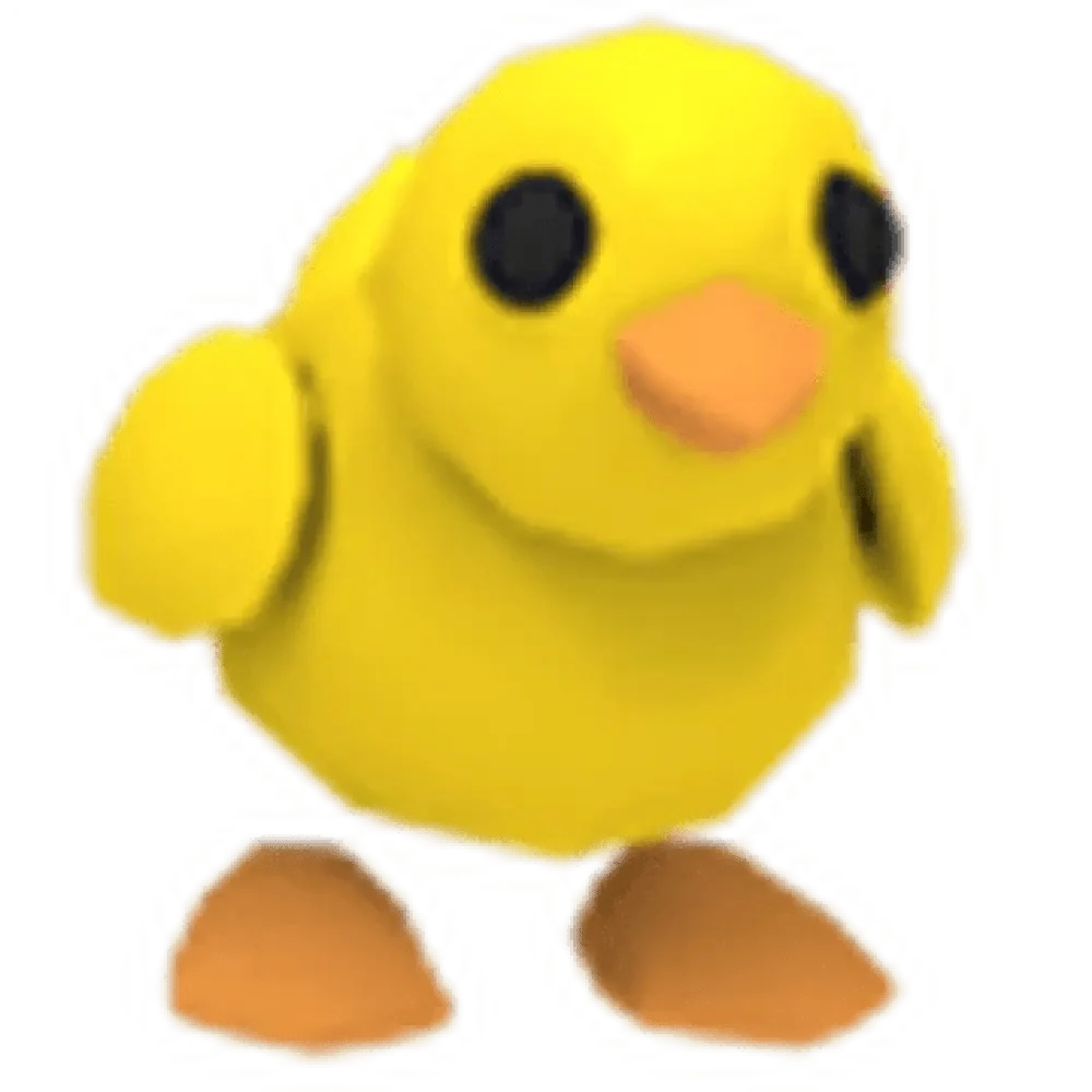NFR Chick