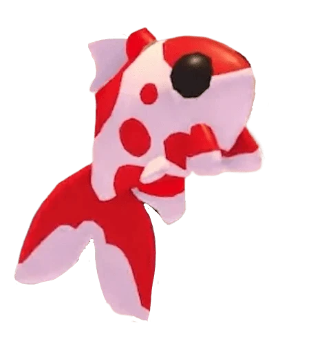 NFR Koi Carp