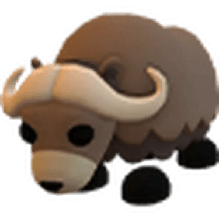 NFR Musk Ox