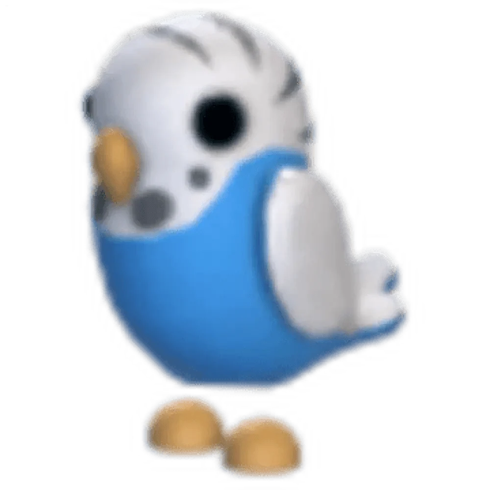 NFR Parakeet