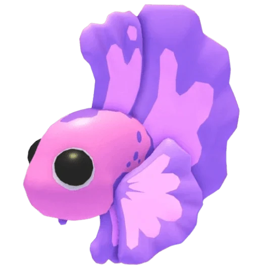 NFR Pink Betta Fish
