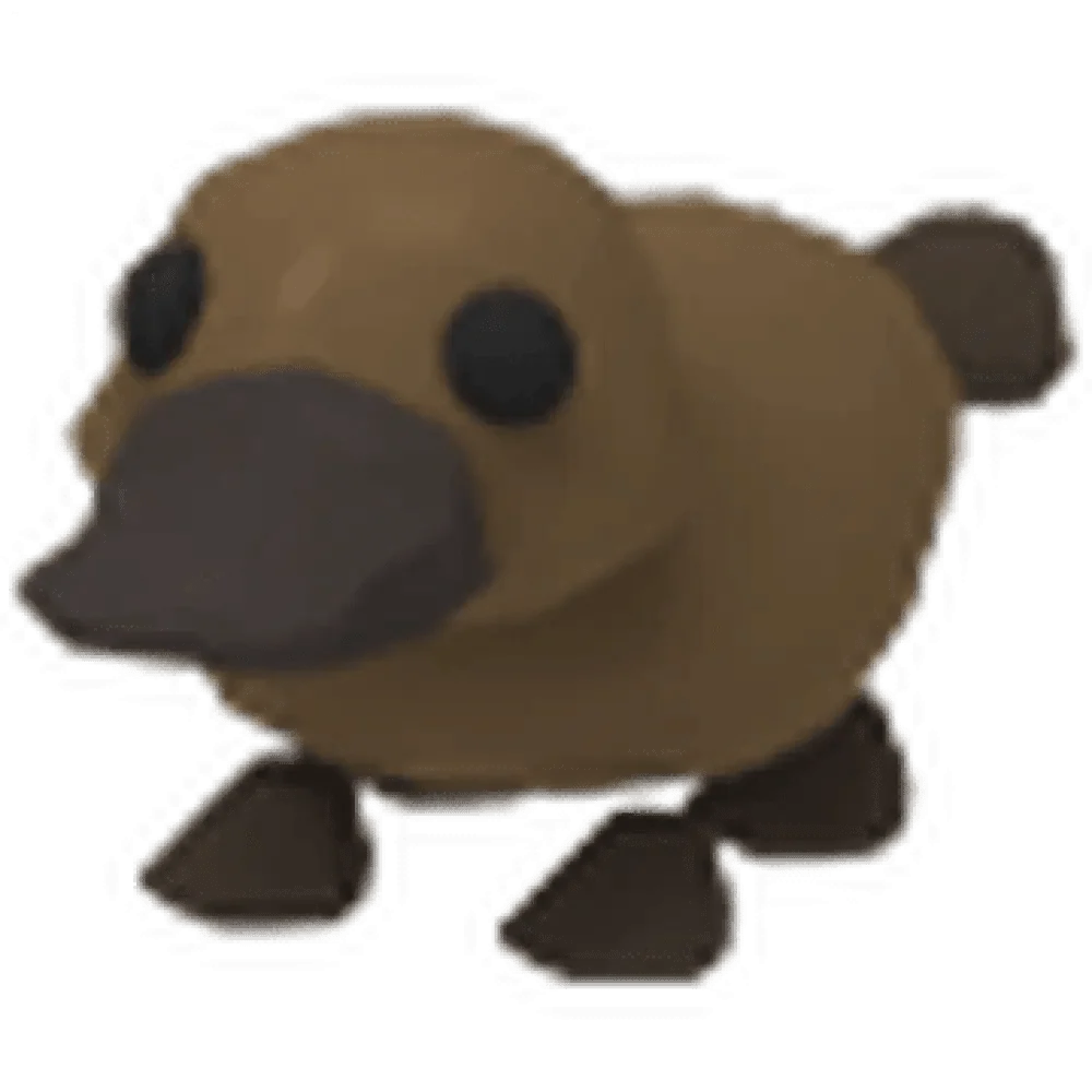 NFR Platypus