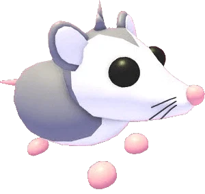 NFR Possum