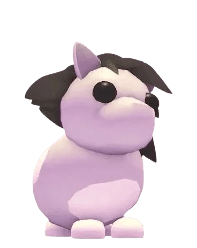 NFR Shetland Pony White