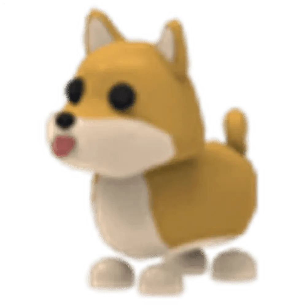 NFR Shiba Inu