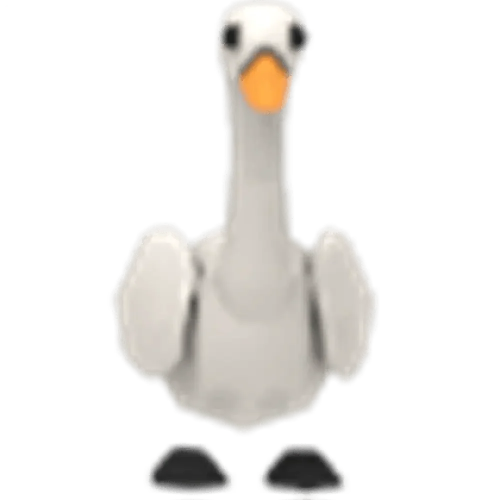 NFR Swan