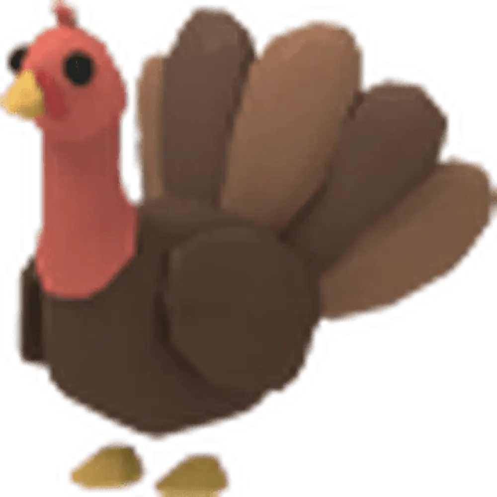 NFR Turkey