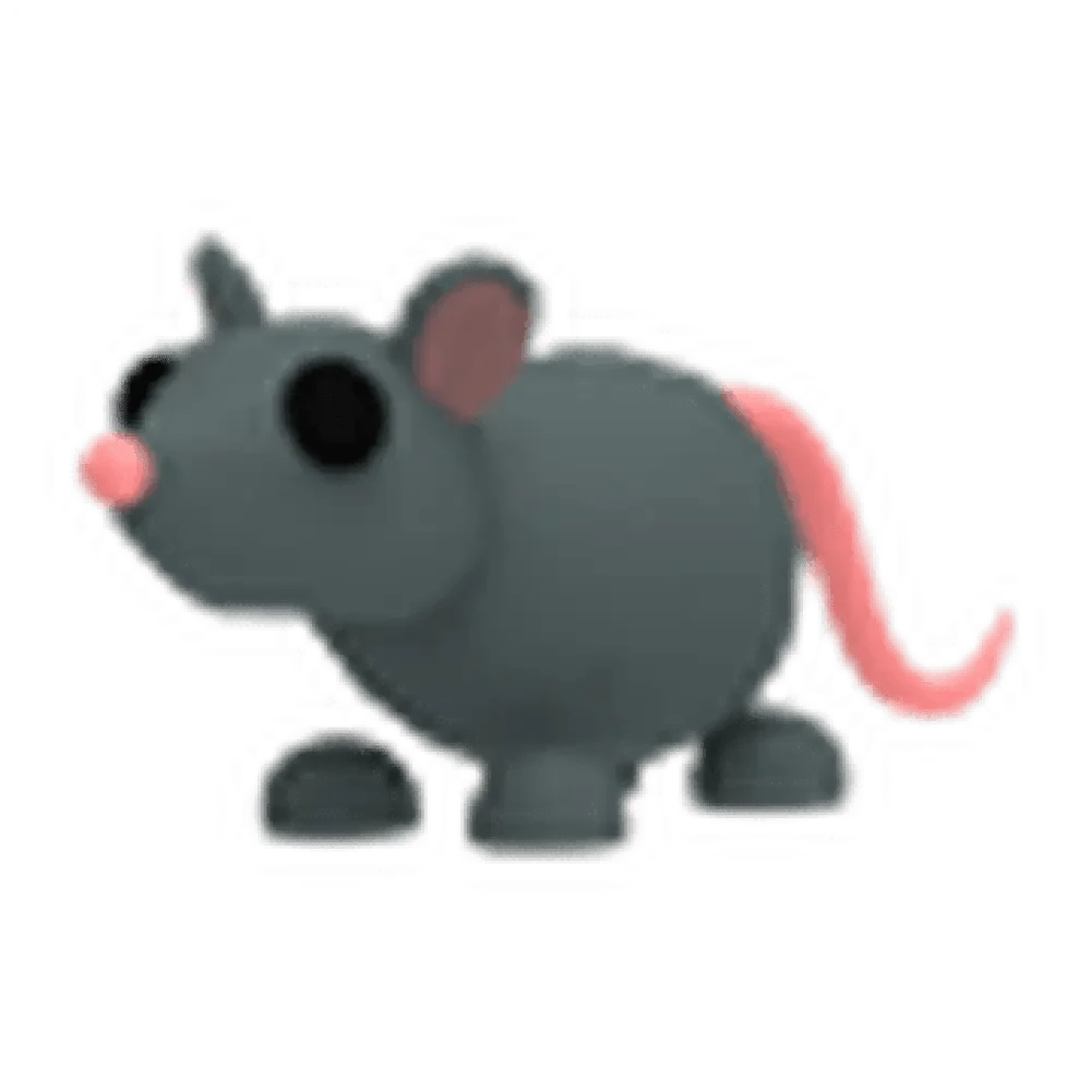 Rat