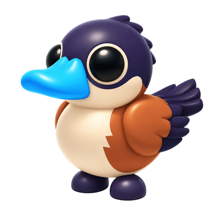 NFR Ruddy Duck