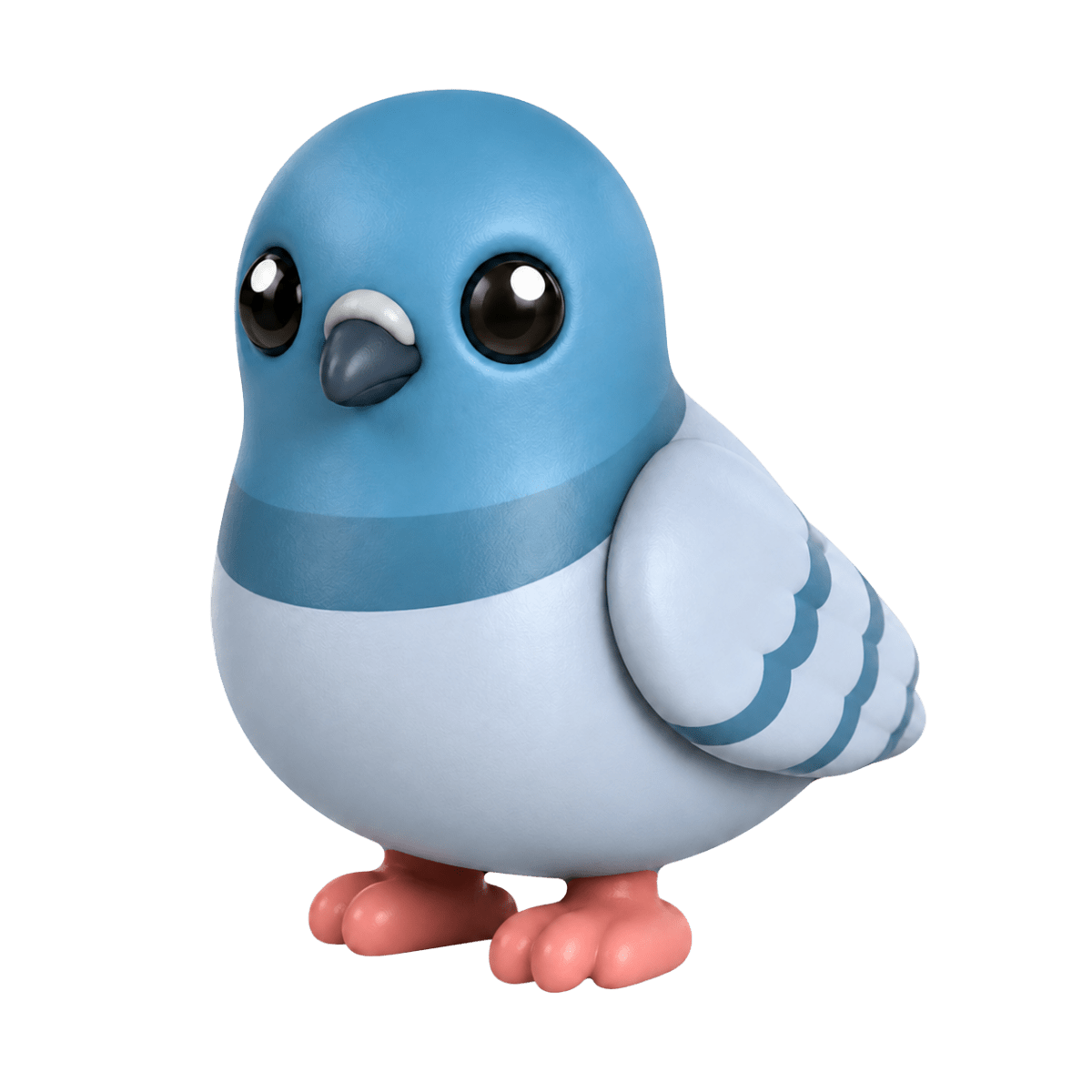 NFR Rock Pigeon