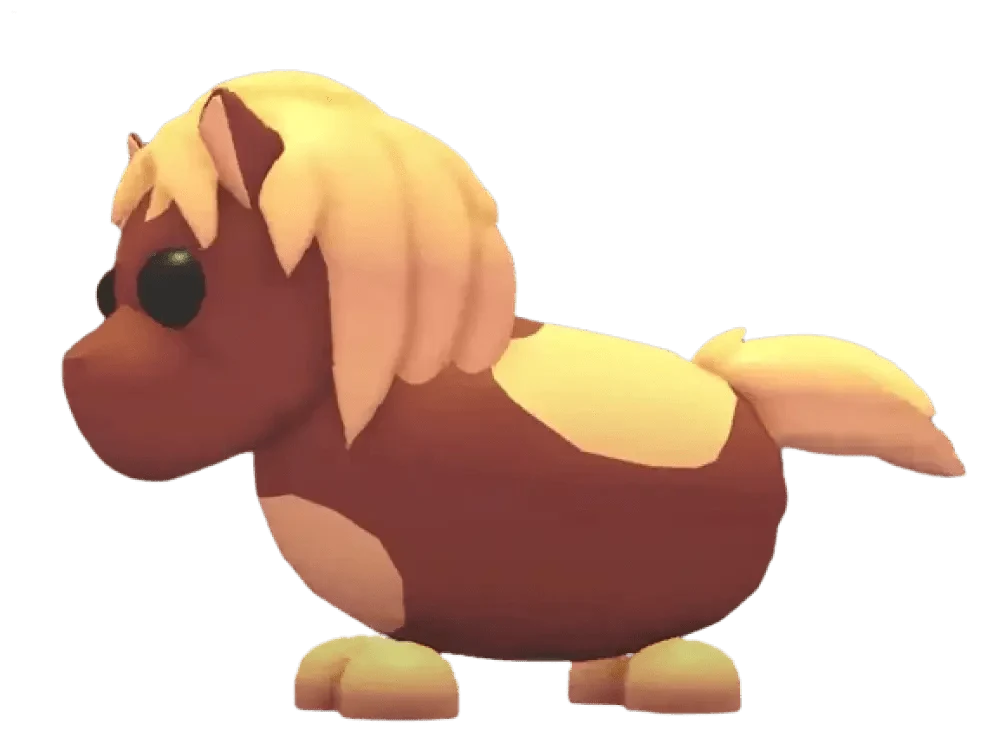 Shetland Pony Dark Brown