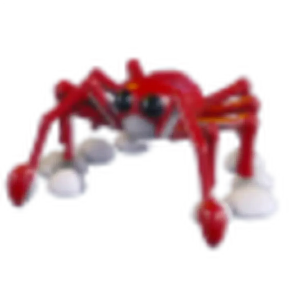 Spider Crab