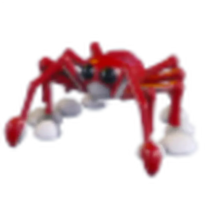 Spider Crab