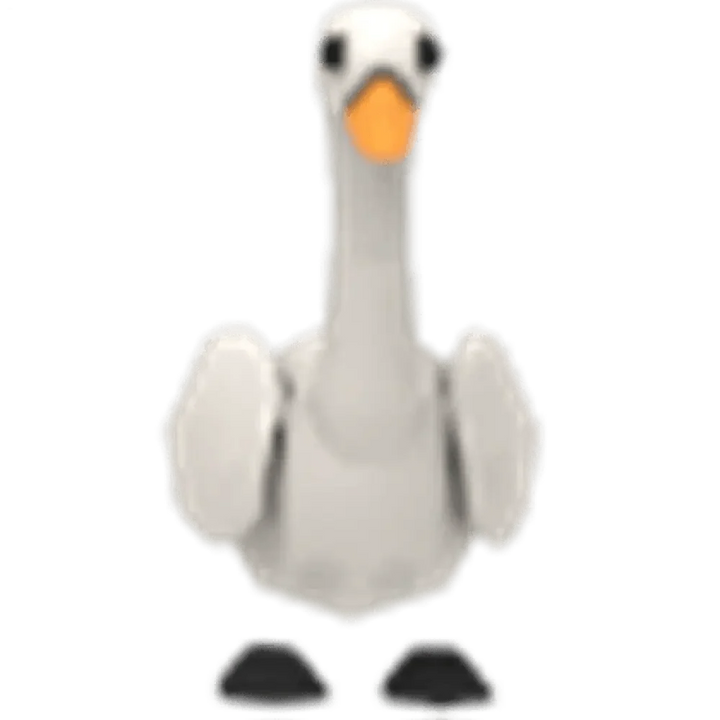 Swan
