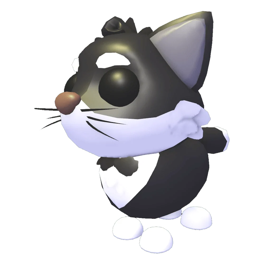 Tuxedo Cat