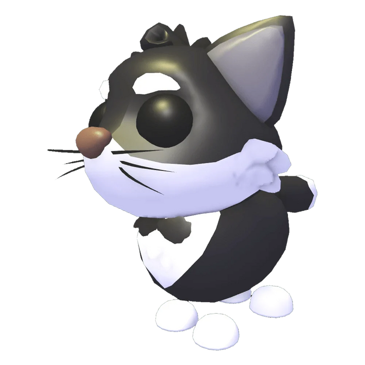 NFR Tuxedo Cat